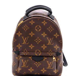 Louis Vuitton Palm Springs Backpack #226833L24B